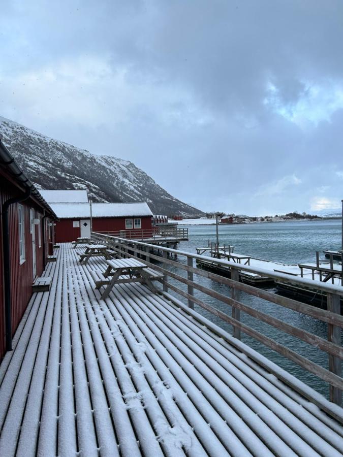 Lofotbua Villa Offersoya Eksteriør billede