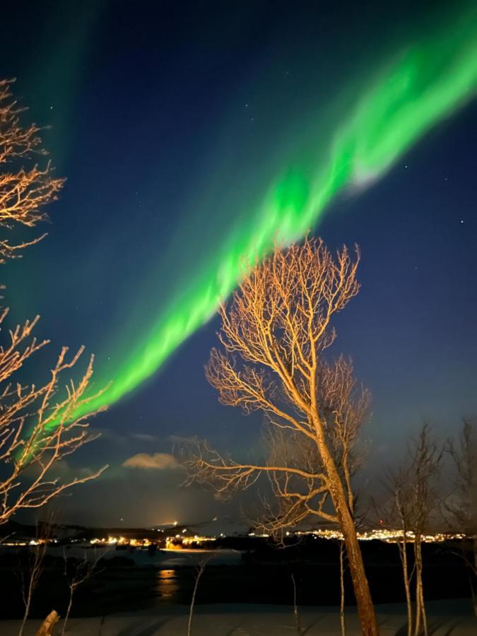 Lofotbua Villa Offersoya Eksteriør billede