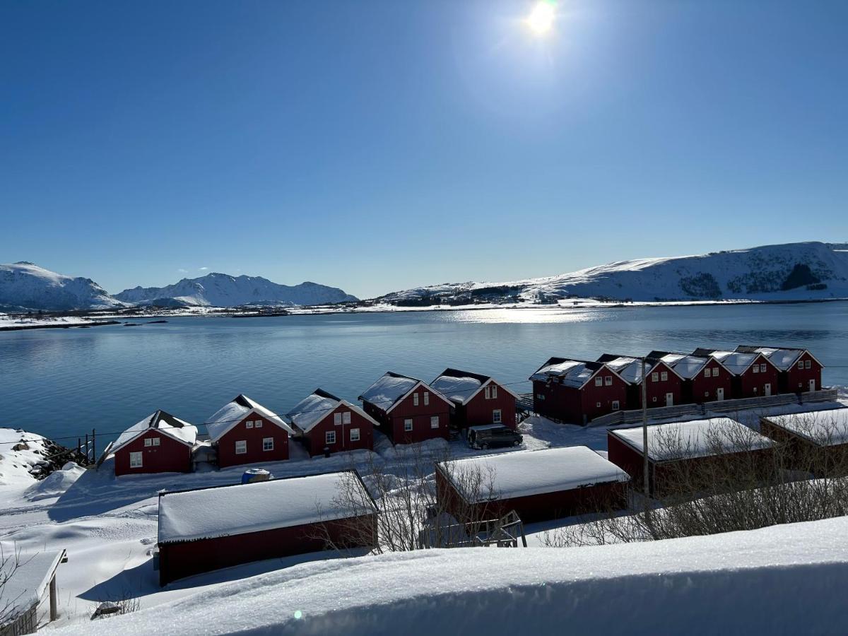 Lofotbua Villa Offersoya Eksteriør billede